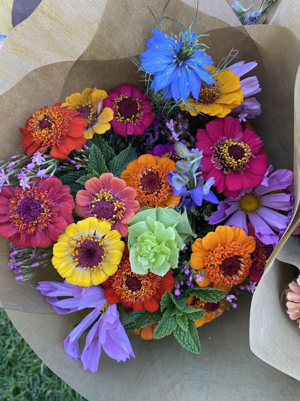 Posy farm fresh flowers | florist | 463 Old Mill Rd, Old Mill NSW 2369, Australia | 0408796877 OR +61 408 796 877