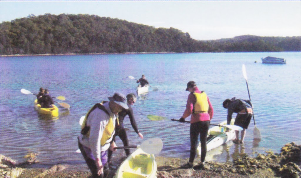 Narooma Kayaking | Riverside Dr, Narooma NSW 2546, Australia | Phone: 0407 705 371