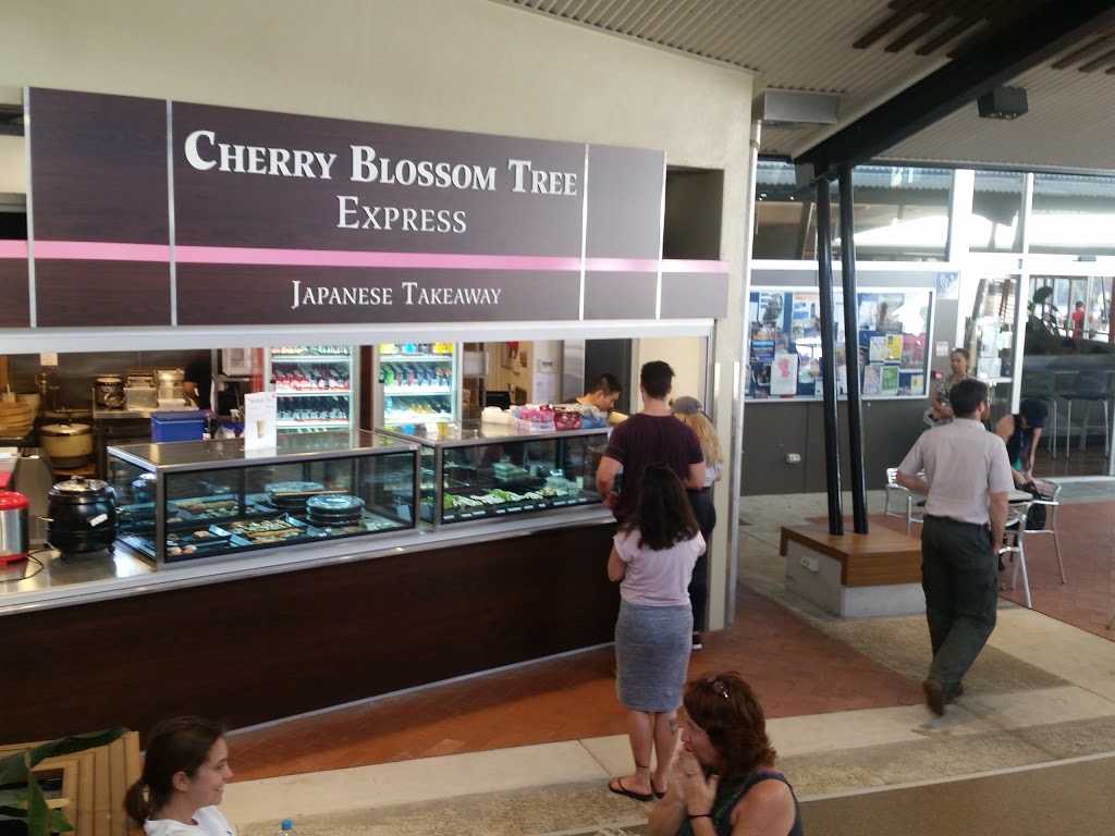 Cherry Blossom Tree | 90 Sippy Downs Dr, Sippy Downs QLD 4556, Australia | Phone: (07) 5445 8188
