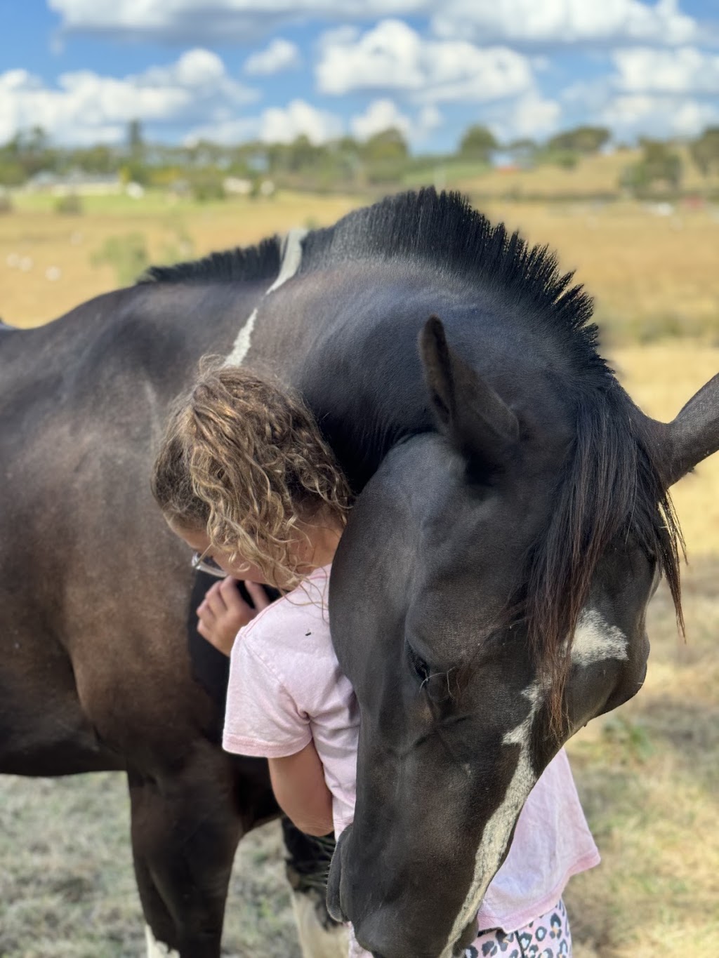 TLC Equine Assisted Therapy & Counselling | 284 Eltham-Yarra Glen Rd, Kangaroo Ground VIC 3097, Australia | Phone: 0421 918 983