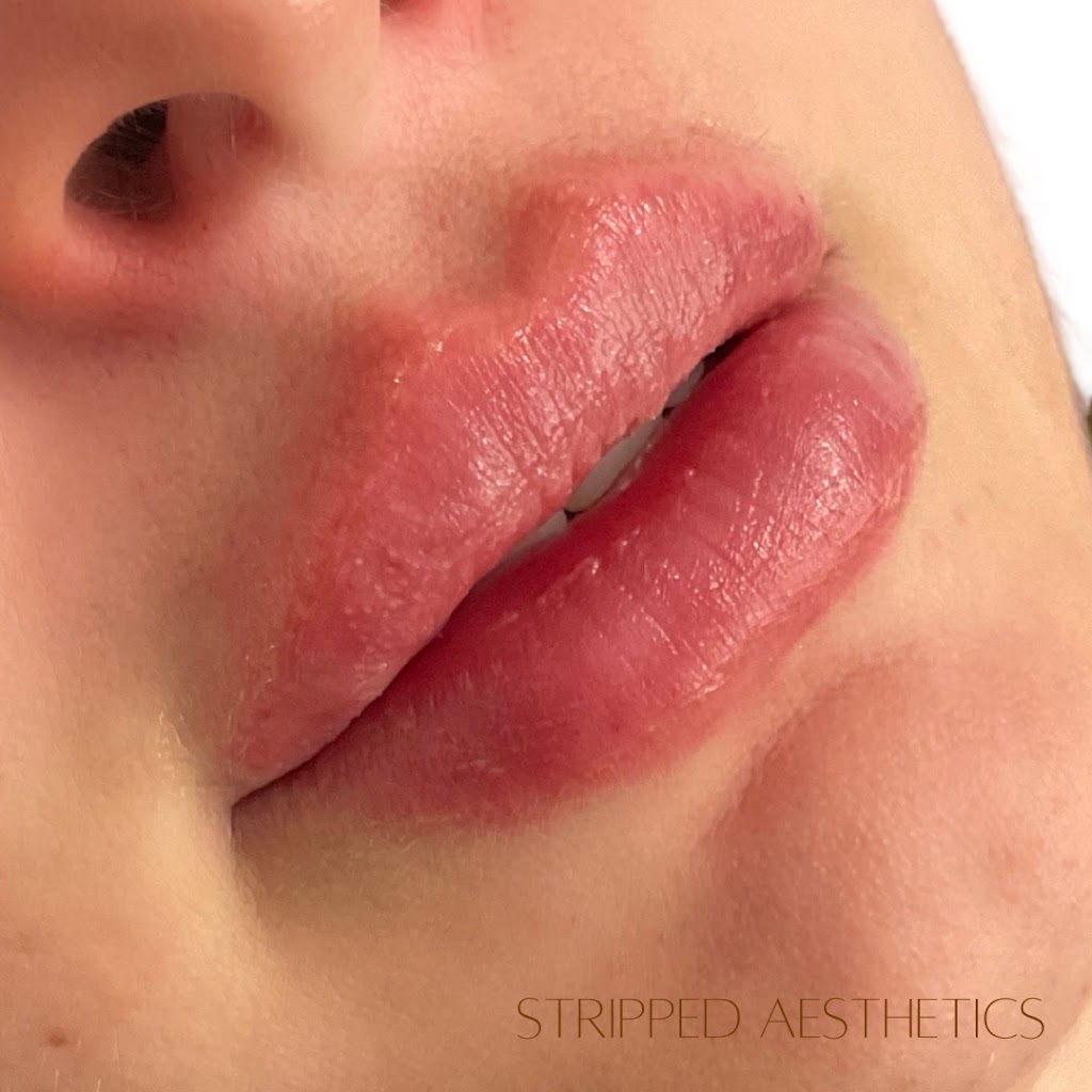 Stripped Aesthetics | 2249 Mount Mee Rd, Ocean View QLD 4521, Australia | Phone: 0435 422 167