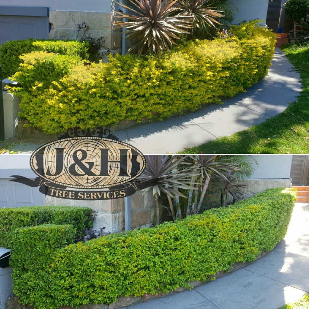 J & H Tree Services | 44 Oriole St, Glenmore Park NSW 2745, Australia | Phone: 0415 720 028