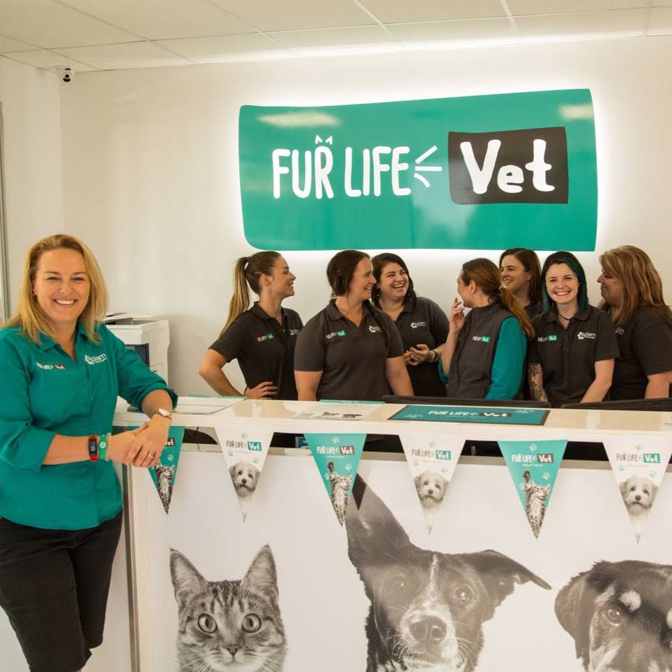 Fur Life Vet | veterinary care | 78/80 Midland Hwy, Epsom VIC 3551, Australia | 0354455966 OR +61 3 5445 5966