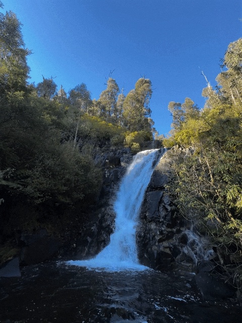 Cedarvale Health & Lifestyle Retreat | 291 Maroondah Hwy, Narbethong VIC 3778, Australia | Phone: 0423 749 175