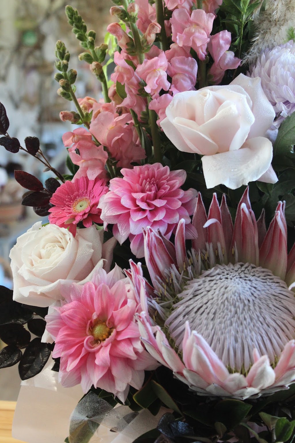 Feather & Flower | Bellay Rd, Beachmere QLD 4510, Australia | Phone: 0493 760 347