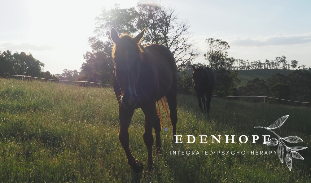 Edenhope Integrated Psychotherapy | 245 Beenak Rd, Gembrook VIC 3783, Australia | Phone: 0412 326 431