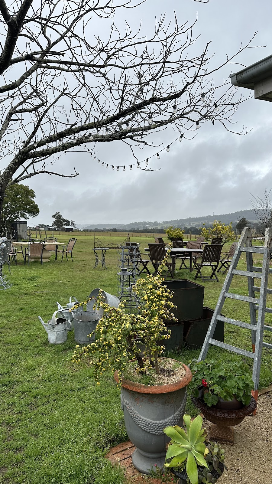 Pardon my French Antiques | 196 Wilderness Rd, Lovedale NSW 2325, Australia | Phone: 0461 314 735