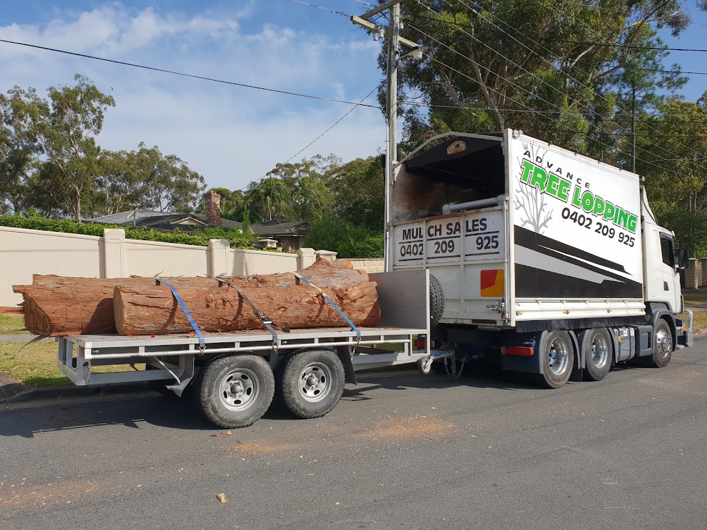 Advance Tree Lopping |  | 85 Waterford Tamborine Rd, Waterford QLD 4133, Australia | 0402209925 OR +61 402 209 925