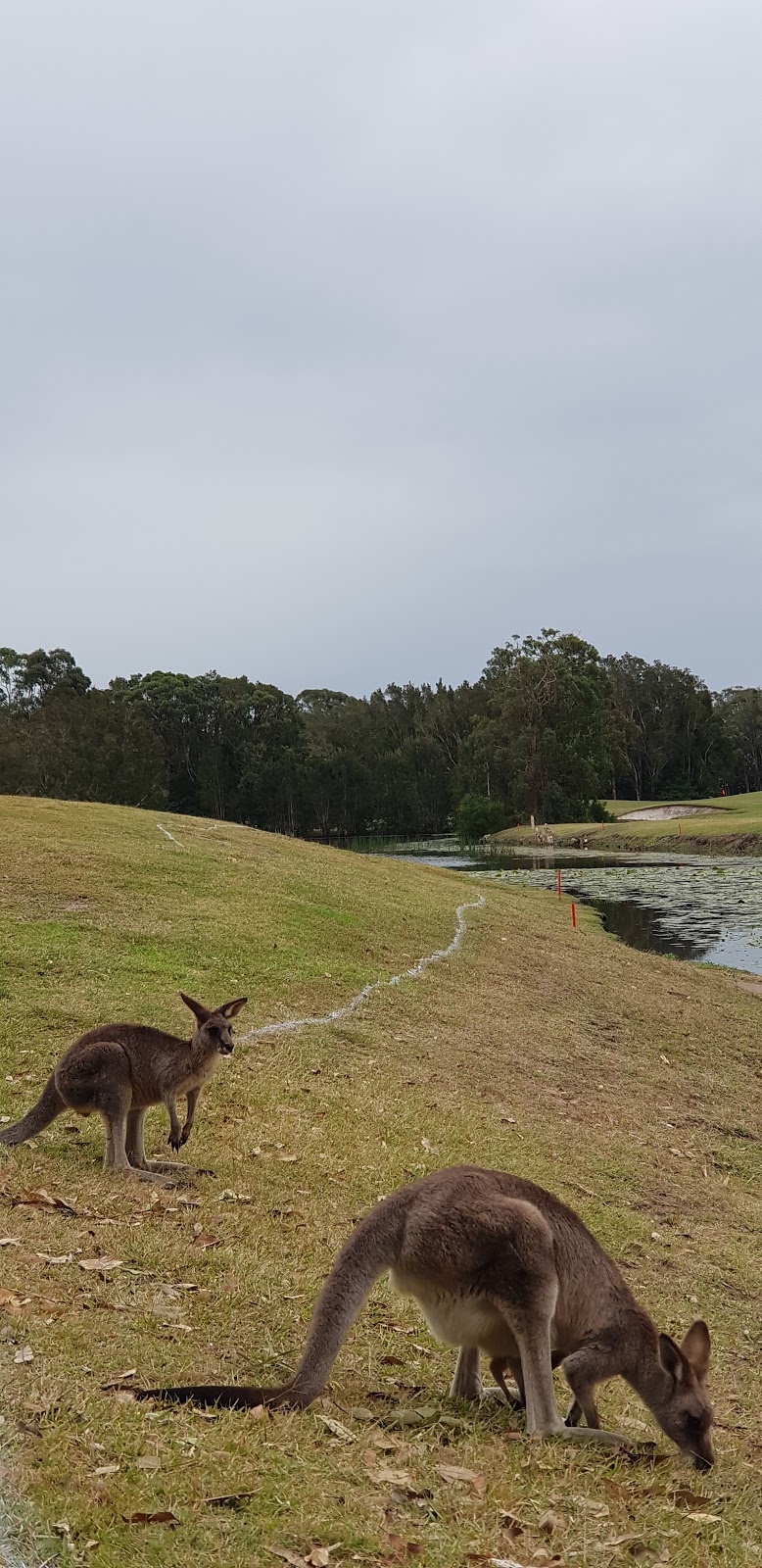 Horizons Golf Resort | Horizons Dr, Salamander Bay NSW 2317, Australia | Phone: (02) 4982 0474