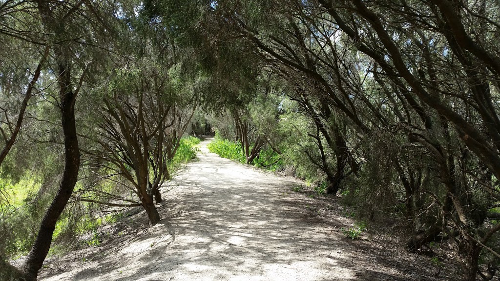 Reedy Lake bird rookery | museum | 132 Pratt Rd, Reedy Lake VIC 3579, Australia