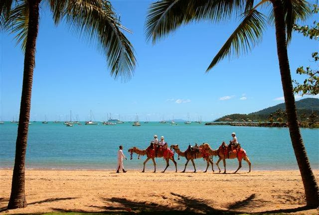 AIRLIE BEACH AND WHITSUNDAY REAL ESTATE | 7 Lawson St, Midge Point QLD 4799, Australia | Phone: (07) 4947 6269