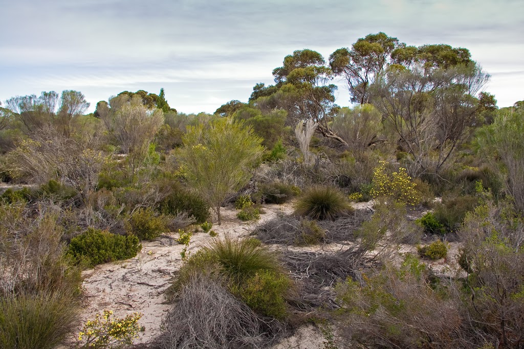 Monarto Conservation Park | Ferries McDonald Rd, Monarto South SA 5254, Australia | Phone: (08) 8204 1910