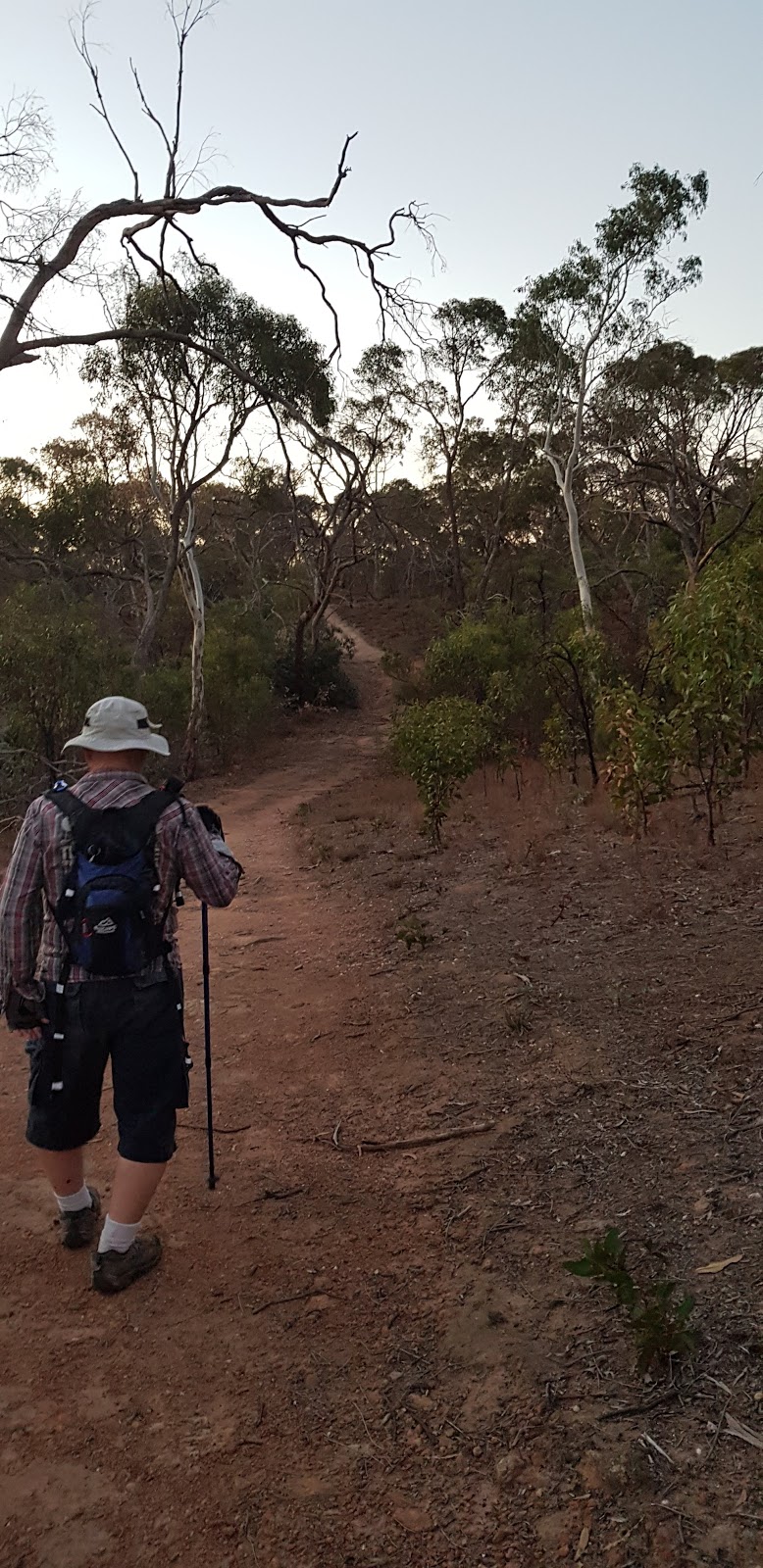 Mack Creek Hike Carpark | Humbug Scrub SA 5114, Australia