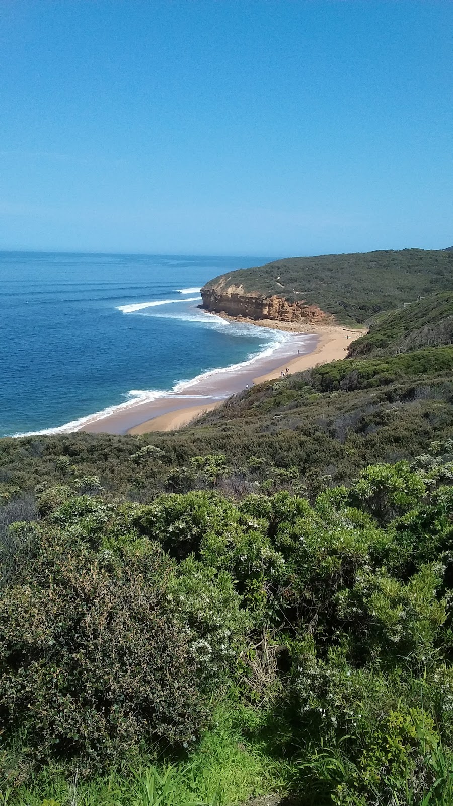 Point Addis Marine National Park | Anglesea VIC 3230, Australia | Phone: 13 19 63