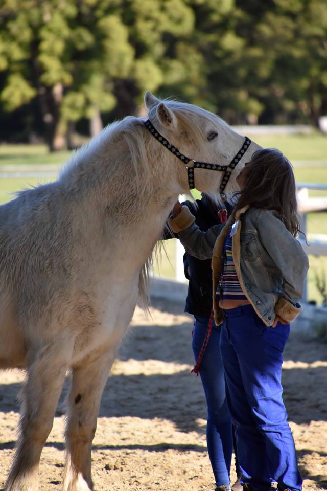 Equine Assisted Therapy Australia Pty Ltd RTO no 41482 |  | 309 Petsch Creek Rd, Tallebudgera Valley QLD 4228, Australia | 0404787162 OR +61 404 787 162