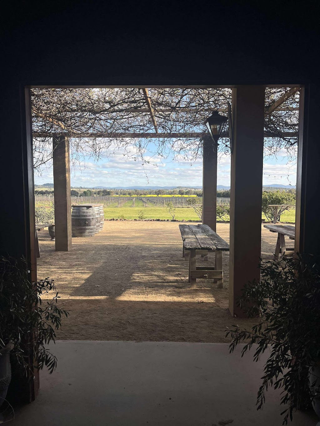 Wild Iris Vineyard | 82 Lawrences Rd, Nyrang Creek NSW 2804, Australia | Phone: 0400 975 120