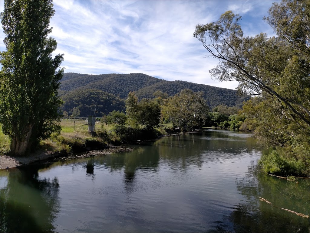Snowy Mountains Trout | food | Blowering Dam Access Rd, Tumut NSW 2720, Australia | 0269473612 OR +61 2 6947 3612