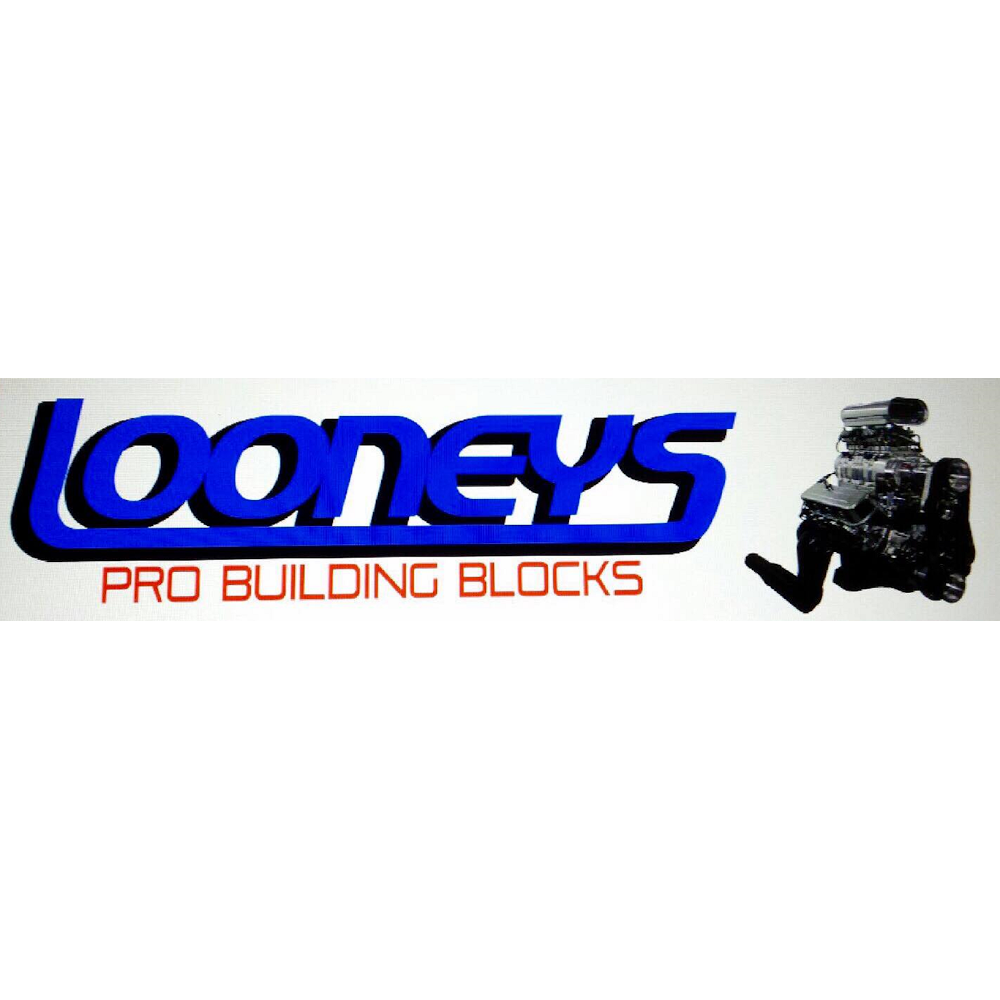 Looneys Pro Building Blocks | car repair | 37 Woodland Rd, St Helens Park NSW 2560, Australia | 0408961107 OR +61 408 961 107