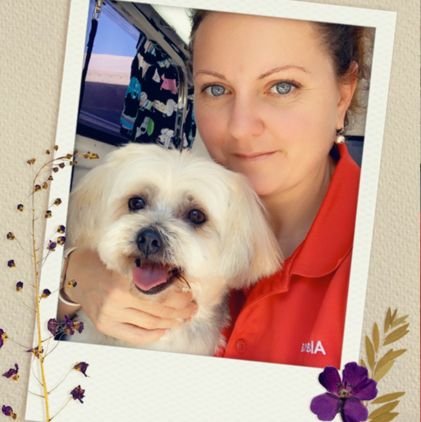 Stylish Paws Dog Grooming | 31 Storey Rd, Logan Village QLD 4207, Australia | Phone: 0411 545 310