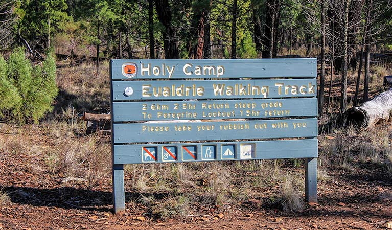 Holy Camp | campground | Holy Camp Road, Grenfell NSW 2810, Australia | 0268514429 OR +61 2 6851 4429