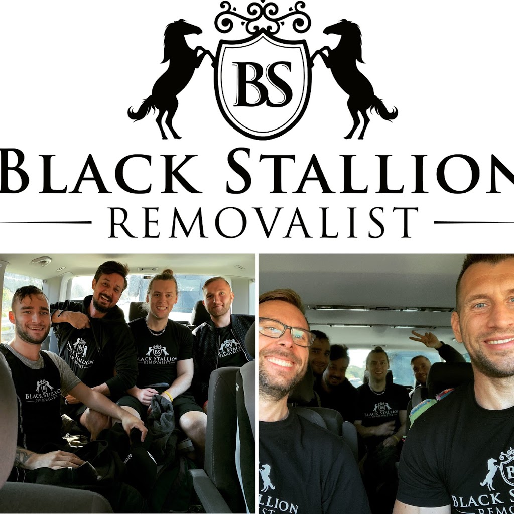 Black Stallion Removalist | 2/47 Todman Ave, Kensington NSW 2033, Australia | Phone: 0468 791 954