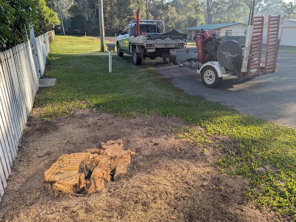 Stump Grinding by Nodez | 19 Edgar St, Bulahdelah NSW 2423, Australia | Phone: 0417 761 492