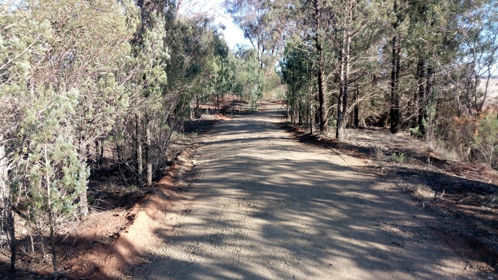 Bike path - between Ganmain and Coolamon | gym | Eisenhauer Ln, Ganmain NSW 2702, Australia