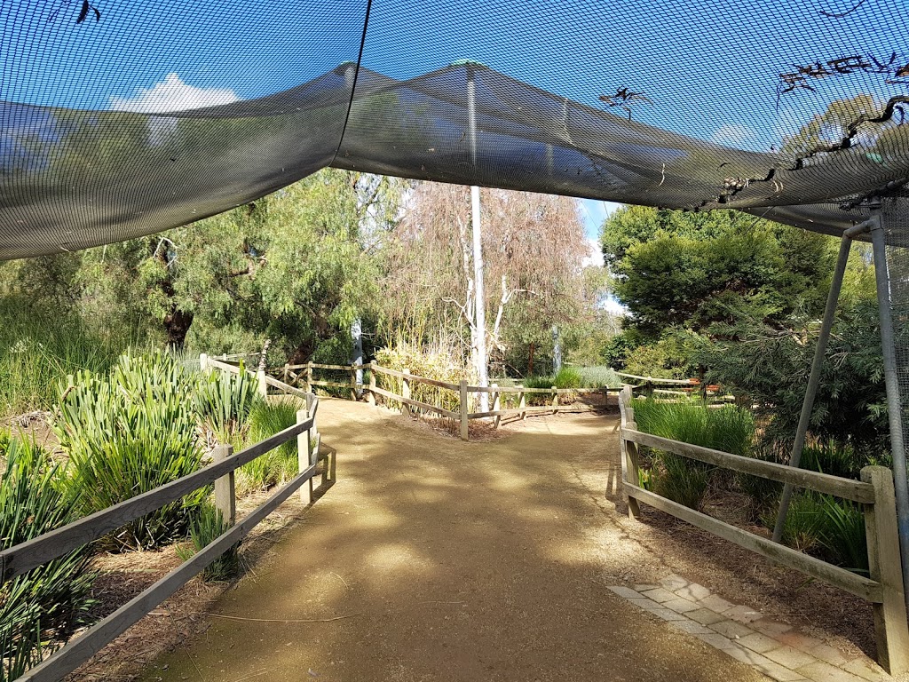 Wagga Wagga Zoo & Aviary | zoo | MacLeay St, Turvey Park NSW 2650, Australia | 0269269100 OR +61 2 6926 9100