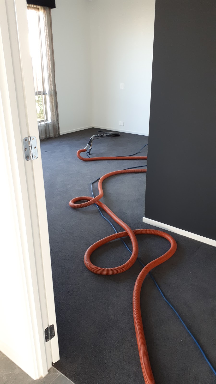 The Carpet Cleaners Brisbane | moving company | 128 Merivale St, South Brisbane QLD 4101, Australia | 1300558599 OR +61 1300 558 599