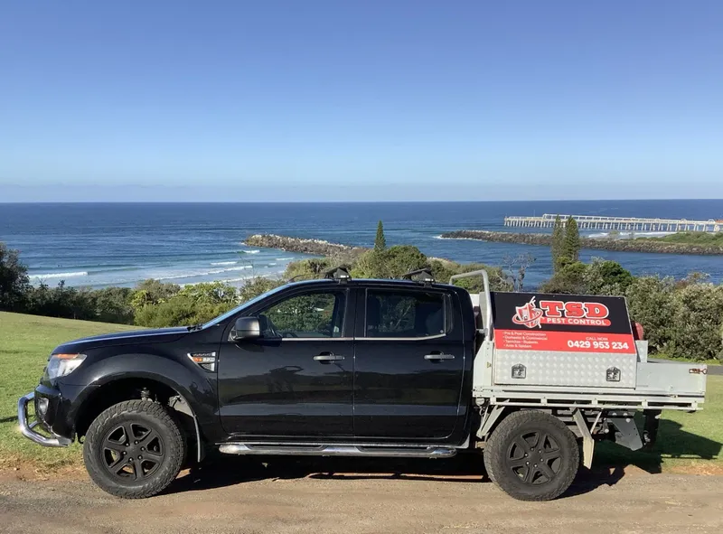 TSD Pest Control | Leisure Dr, Banora Point NSW 2486, Australia | Phone: 0429 953 234