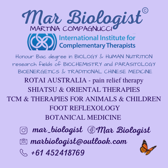 Mar Biologist - Shiatsu - Reflexology | South Grafton NSW 2460, Australia | Phone: 0452 418 769