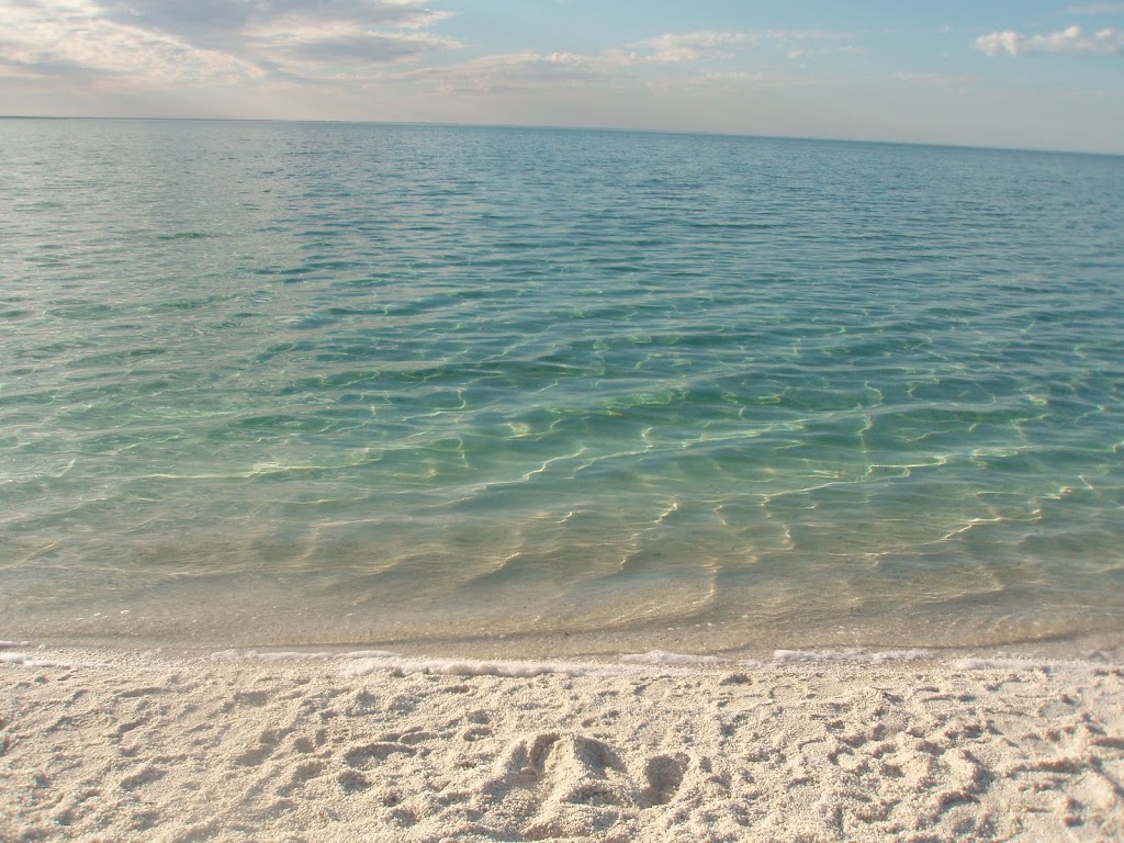 Feral Proof Fence | Shark Bay Rd, Francois Peron Natl Park WA 6537, Australia | Phone: (08) 9948 1590