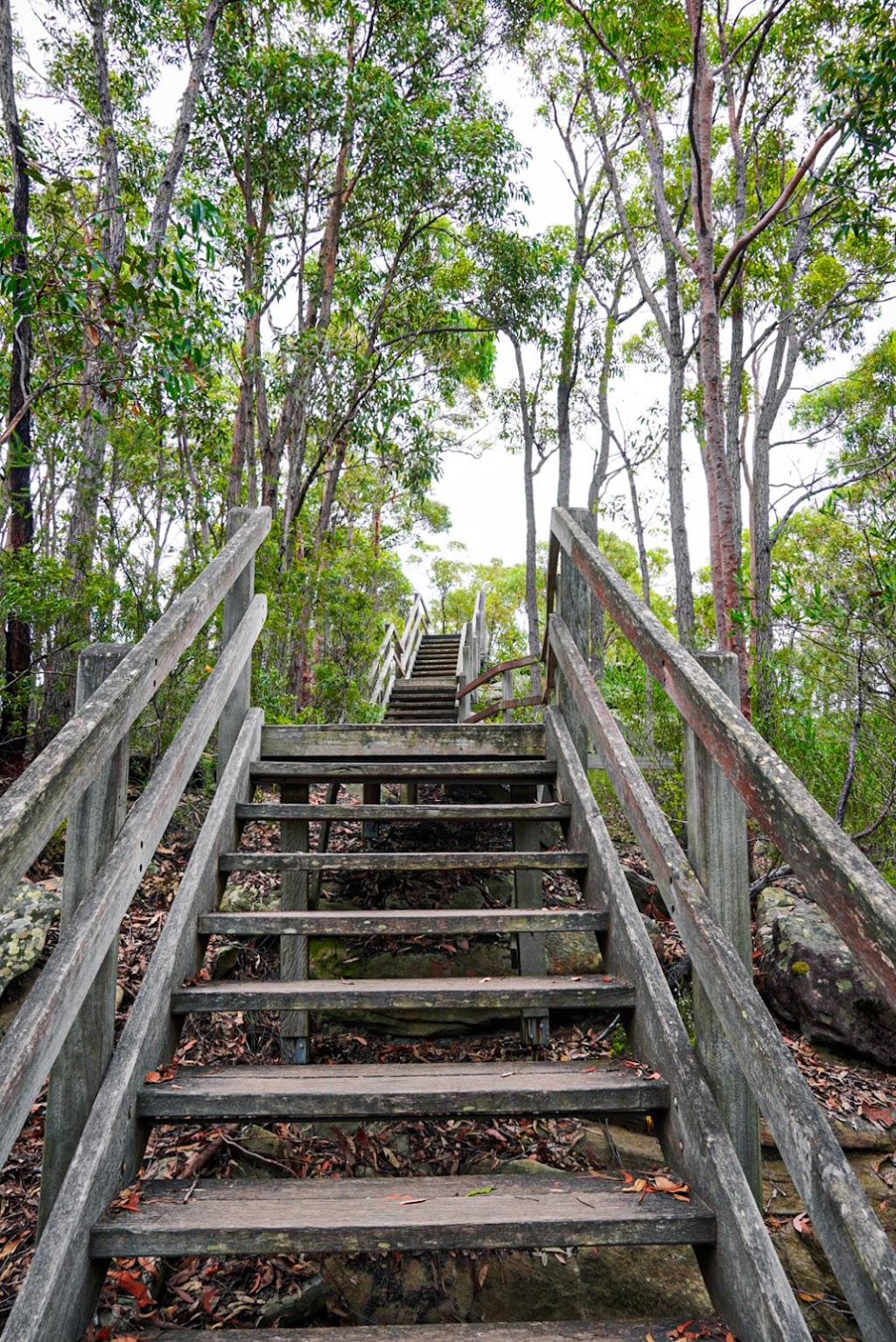 Warrah Lookout | tourist attraction | Tony Doyle Track, Patonga NSW 2256, Australia | 0243204200 OR +61 2 4320 4200