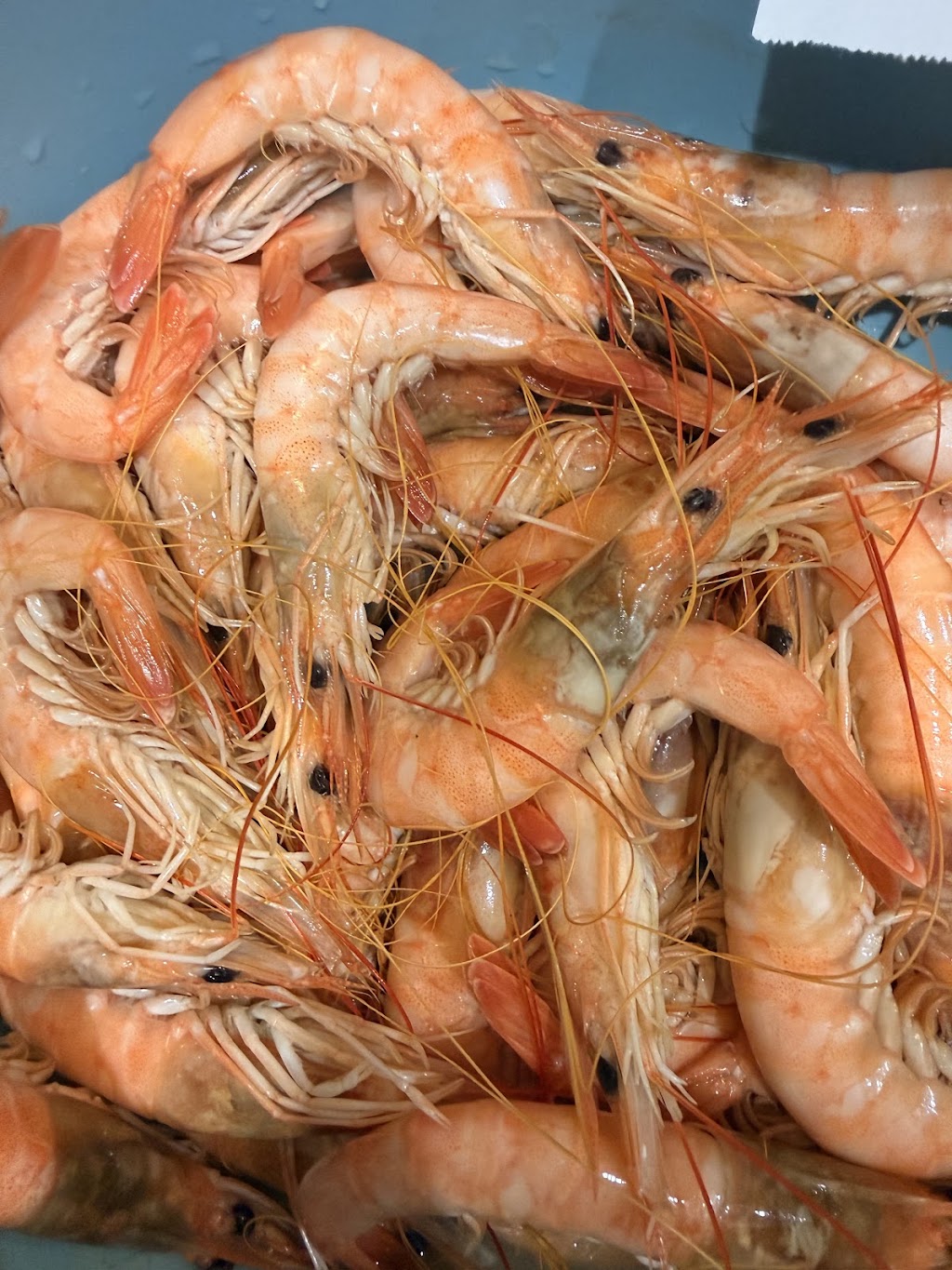 Mark Loves Seafood | Near ALDI And Escalators, Westfield, 50 Wyong Rd, Tuggerah NSW 2259, Australia | Phone: (02) 4330 5009