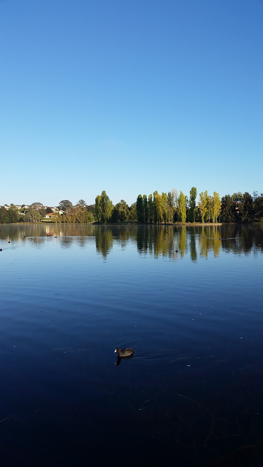 Yerrabi Pond Park | 76C Phyllis Ashton Cct, Gungahlin ACT 2912, Australia