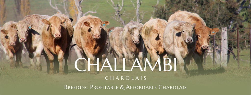 Challambi Charolais (512 Welumba Creek Rd) Opening Hours