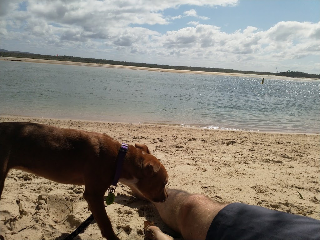 Dog Beach | park | Noosa Botanic Gardens, Claude Batten Dr, Noosa Heads QLD 4567, Australia | 0753296500 OR +61 7 5329 6500