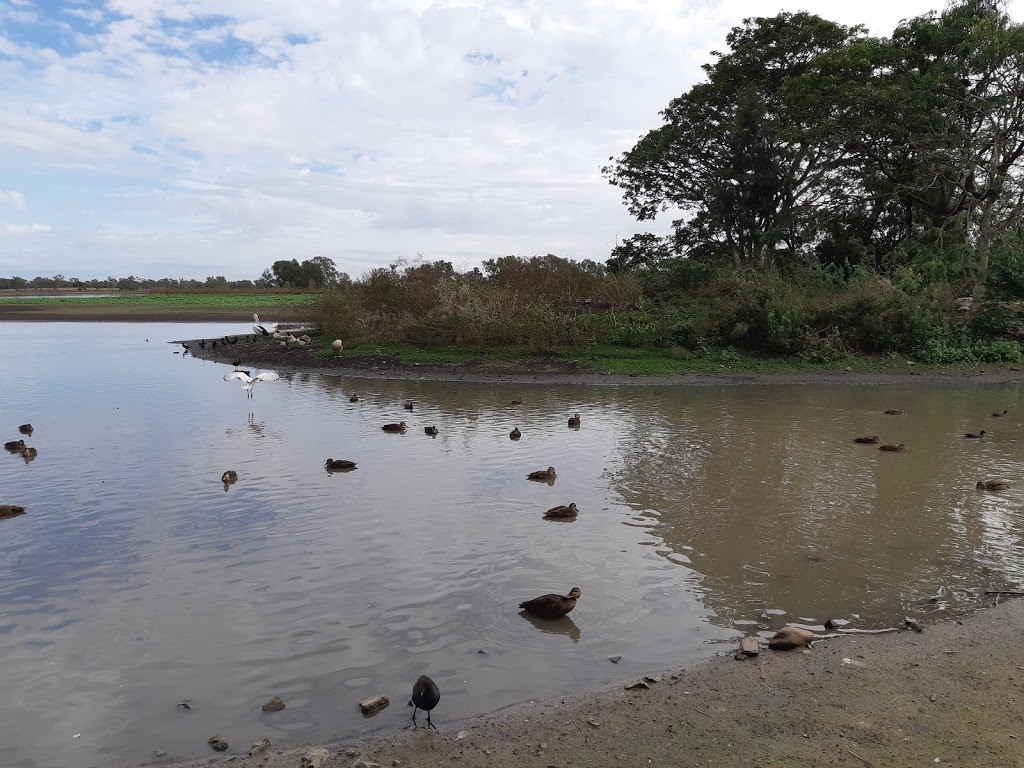 Murray Lagoon Viewing Platoon | park | Ann St, West Rockhampton QLD 4700, Australia