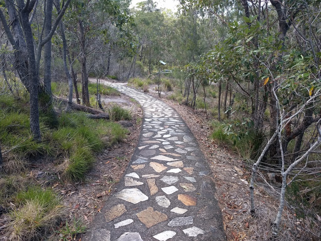 Tewantin Forest Reserve Lookout | park | Mt Tinbeerwah Walking Track, Tinbeerwah QLD 4563, Australia