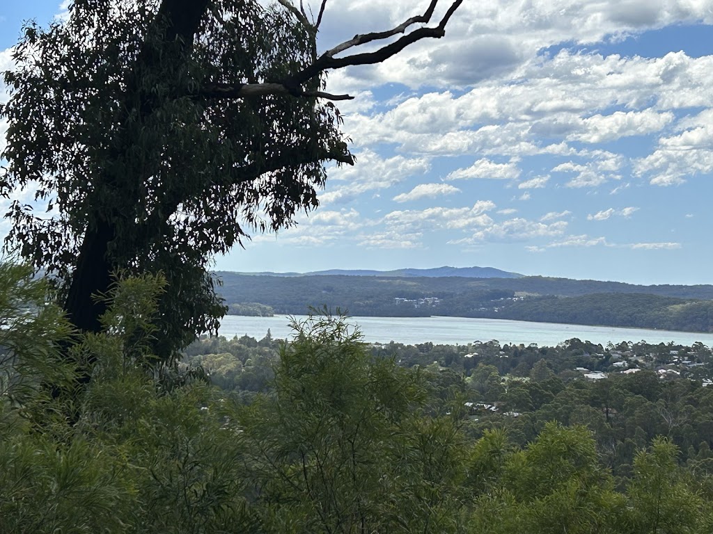 Ride Mogo | 14 Charles St, Mogo NSW 2536, Australia | Phone: (02) 6106 9596