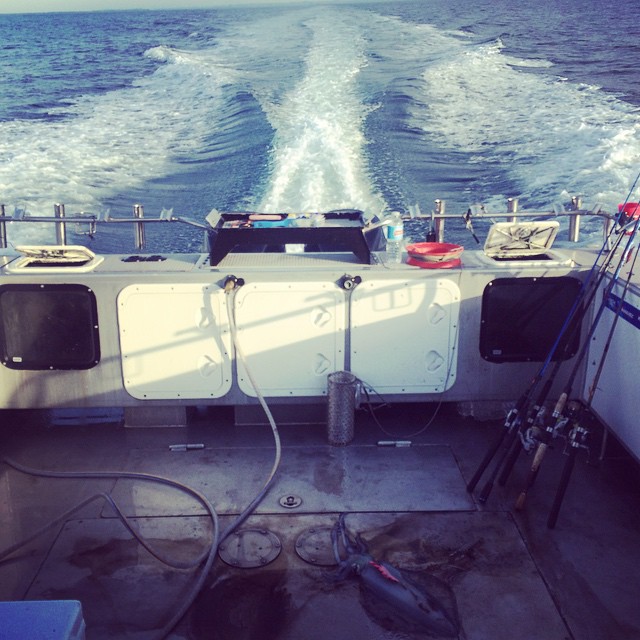 Reel Time Fishing Charters Hastings | Shop 4/145 Salmon St, Hastings VIC 3195, Australia | Phone: 0438 302 093