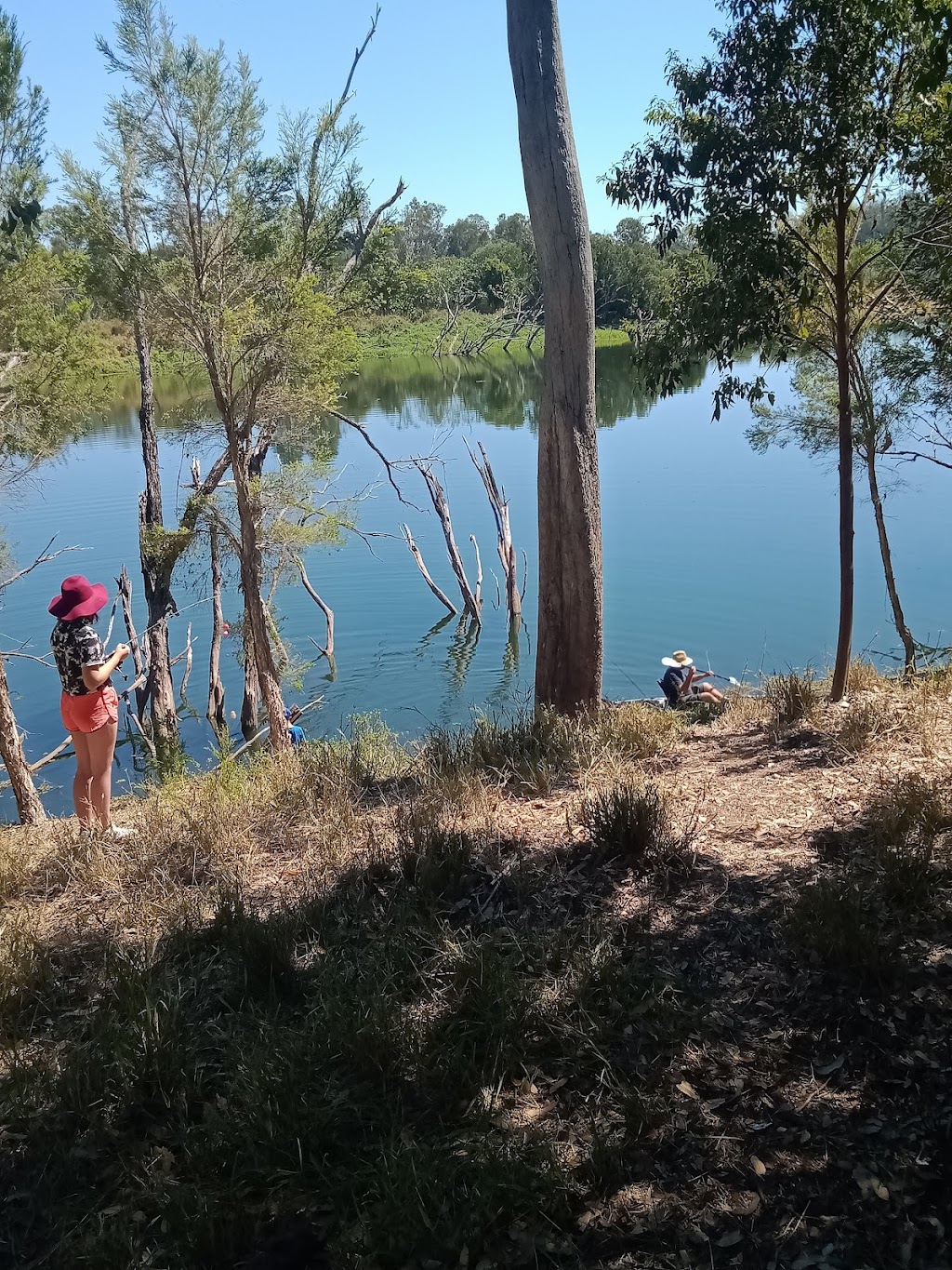 Paradise Lost on the Burnett | Millers Rd, Duingal QLD 4671, Australia | Phone: 0429 661 683