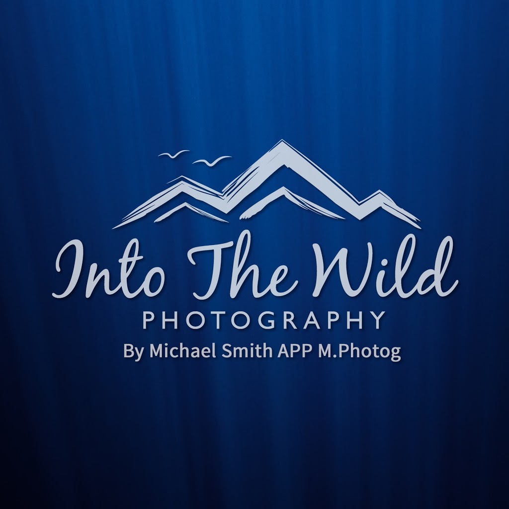 Into The Wild Photography Homewares & Gifts | electronics store | Shop 2/348 Charlton Esplanade, Scarness QLD 4655, Australia | 0412180216 OR +61 412 180 216