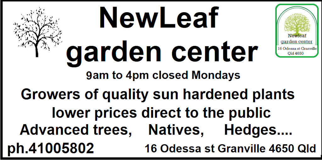 newleaf garden center | store | 16 Odessa St, Granville QLD 4650, Australia | 0741005802 OR +61 7 4100 5802