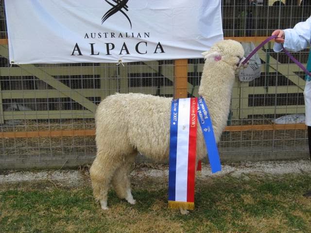 Warralinga Alpaca Stud |  | 364 Spinks Rd, Glossodia NSW 2756, Australia | 0245765048 OR +61 2 4576 5048