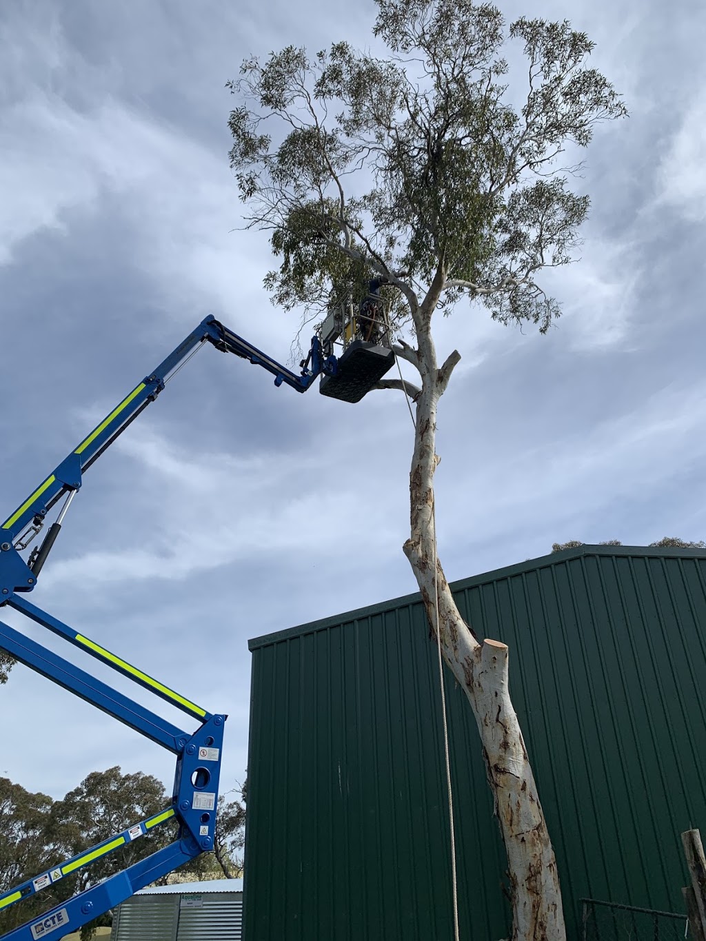 Bradleys Tree & Stump Removal |  | Unit 1/8 Jay Dr, Willunga SA 5172, Australia | 0419846584 OR +61 419 846 584