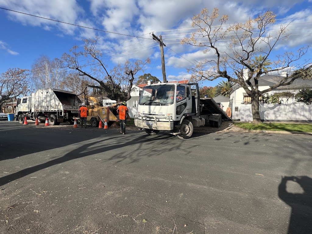 Total Tree & Stump Removal pty Ltd | 60 Robinson St, Murchison VIC 3610, Australia | Phone: 0457 283 085