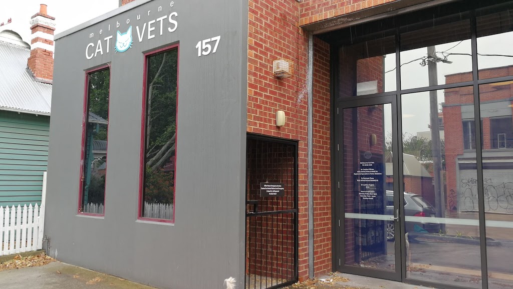 Melbourne Cat Vets | veterinary care | 157 Westgarth St, Fitzroy VIC 3065, Australia | 0394164133 OR +61 3 9416 4133
