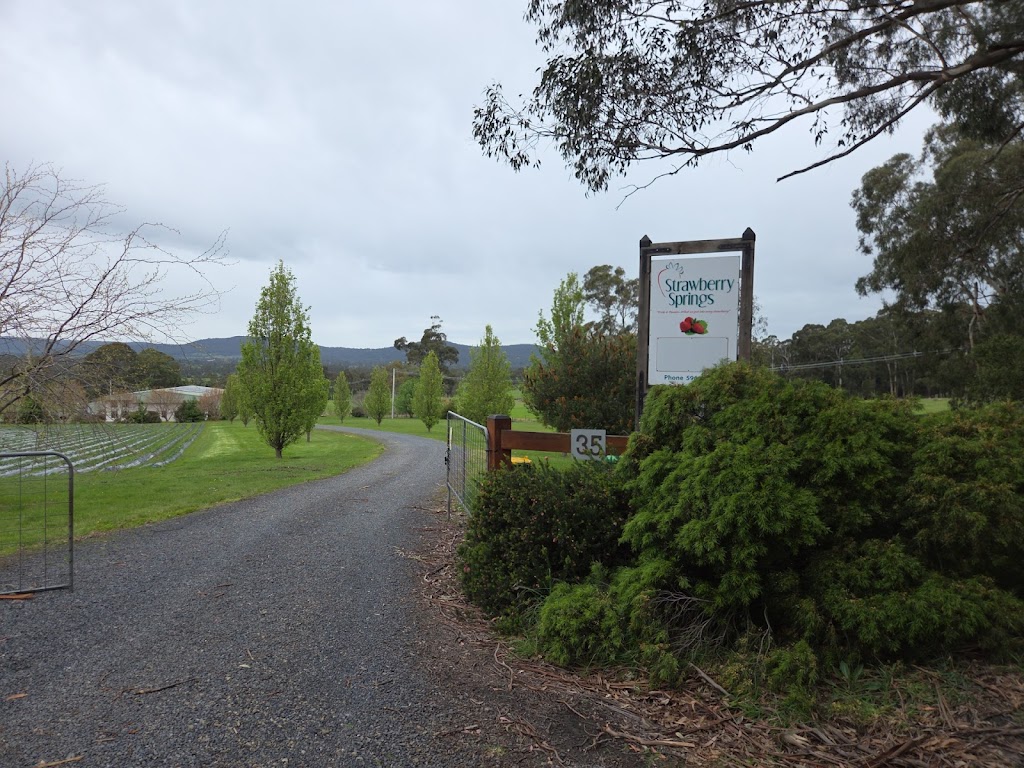 Strawberry Springs Strawberry Farm | 35 McNamaras Rd, Millgrove VIC 3799, Australia | Phone: 59662070