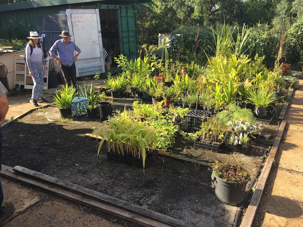 Lalor Park Community Garden | Parkside Dr, Lalor Park NSW 2147, Australia